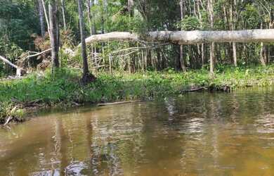 Imagem: O terreno e está localizado em Novo Israel, Manaus à venda