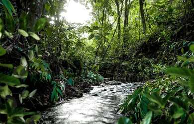 Imagem: O terreno possui 20.000m² de Área e está localizado em Lagoa