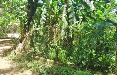 Imagem 13: Atibaia SP Área Industrial 12.000 m² a 400 metros da Fernão Dias Ref.078-ATI-001