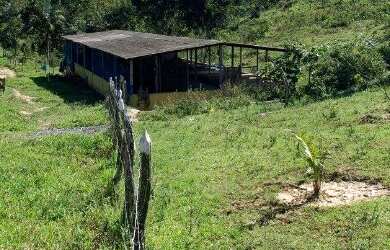 Imagem 4: Fazenda à Venda em Candeias - BA Fazendas à Venda na Bahia 32 Hectares...