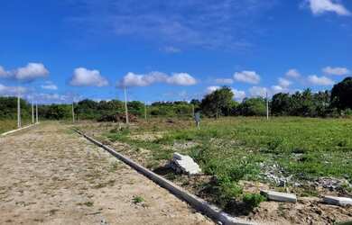 Imagem 8: Loteamento Vivencie Camara Perto Do Restaurante Benjamim Pronto Para Construir...