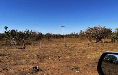 Imagem 16: Fazenda arrendamento 700hec pra abrir em aliança do Tocantins TO