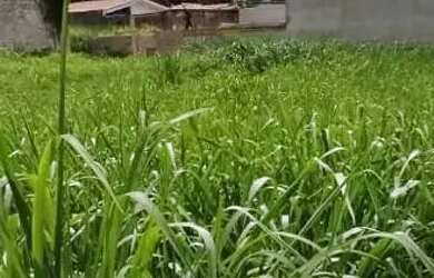 Imagem: O terreno possui 300m² de Área e está localizado em Brasil