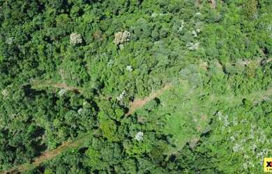 Imagem 3: Sítio / Chácara para Venda em Nova Petrópolis, Stille Eck