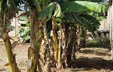 Imagem: O terreno possui 1100m² de Área e está localizado em Setor