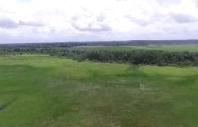 Imagem 6: R$2 milhões de reais fazenda a 80 km de Castanhal 50 alqueires