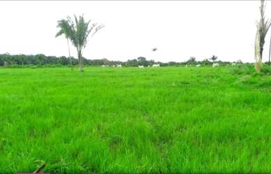 Imagem 2: R$ 2 milhões de reais fazenda pronta há 170 km de Belém