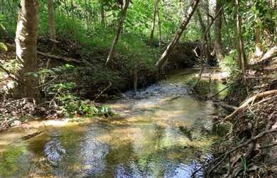 Imagem: A fazenda possui 20m² de Área e está localizado em Conde