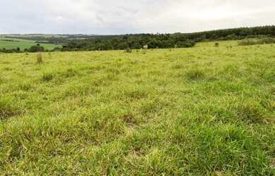 Imagem: A chácara está localizado em Vila Trujillo, Sorocaba à venda