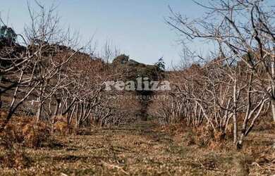 Imagem 12: TERRENO EM GRAMADO. 800m² de Área