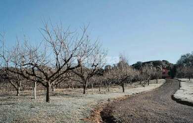 Imagem 11: TERRENO EM GRAMADO. 800m² de Área