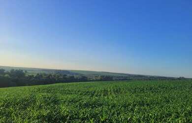 Imagem: A chácara possui 48.000m² de Área e está localizado em