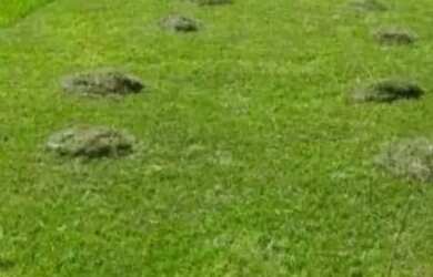 Imagem: O terreno possui 800m² de Área e está localizado em Setor