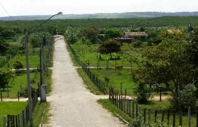 Imagem 5: Loteamento na praia de catuama