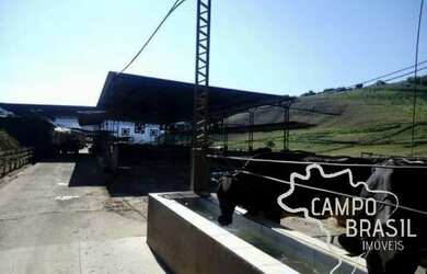 Imagem 9: Linda Fazenda no Sul de Minas Muito conforto e excelentes condições