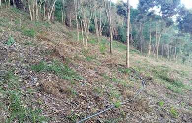 Imagem 4: Terreno Com Bela Vista Livre!!