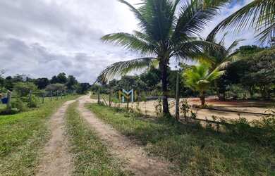 Imagem 4: Terreno para hotel ou condomínio coladinho na praia do espelho!