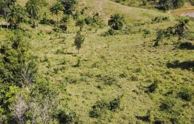 Imagem 16: Fazenda à Venda em Candeias - BA Fazendas à Venda na Bahia 32 Hectares...