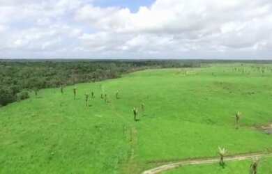 Imagem 4: R$2 milhões de reais fazenda a 80 km de Castanhal 50 alqueires