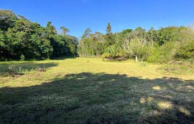 Imagem 4: Sítio Plano E Com Nascente Para Fazer Açude. ROB:364