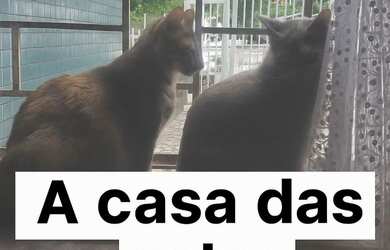 Imagem: O apartamento possui 1 Dormitório, Acomodam 2 pessoas e está