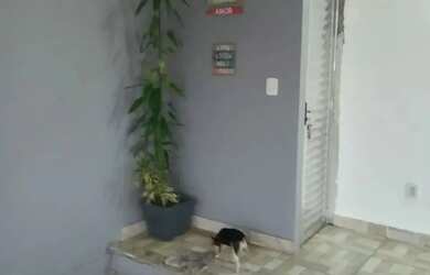 Imagem 9: Casa com 3 quartos com area externa e vaga - Boaçu - São Gonçalo-RJ