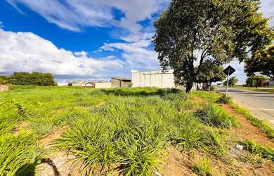 Imagem 12: LOTE COMERCIAL NA AVENIDA BRASIL 407 m² NO JARDIM BURITI SERENO