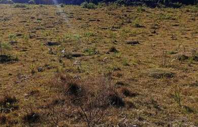 Imagem: A chácara possui 1m² de Área e está localizado em Ana Rech