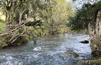 Imagem 2: Urubici Chácara com rio