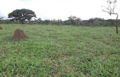Imagem: O terreno possui 20000m² de Área e está localizado em Jaboticatubas