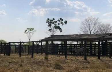 Imagem 1: Fazenda 2.350 ALQ, Paranã - TO