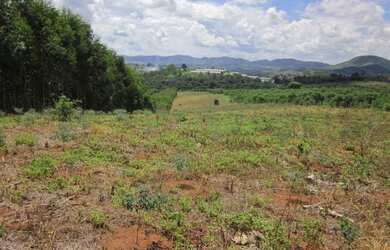 Imagem 7: Área com 120.000 metros quadrados Rodovia Fernão Dias Km33 - Atibaia...