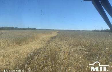 Imagem 11: Fazenda Agrícola em Pedro Afonso-TO. gt 445 Alq. 2.154Há