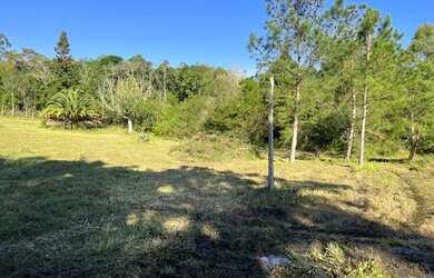 Imagem 16: Sítio Plano E Com Nascente Para Fazer Açude. ROB:364