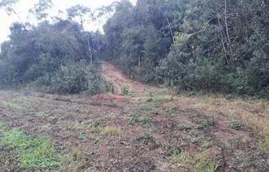 Imagem 2: Chácara 29.342 m2 a 5 km Campo Largo