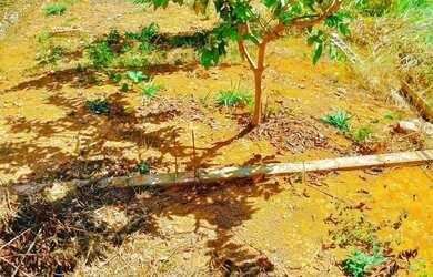 Imagem 6: Lote no Village do lago 1