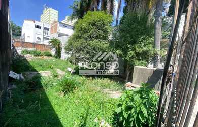 Imagem 6: Terreno Vende 370m² - Plano - rua asfaltada/água/esgoto/energia - BUTANTÃ