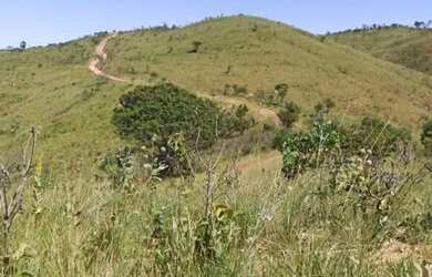 Imagem 4: FAZENDA - ÁREA IDEAL PARA COMPENSAÇÃO AMBIENTAL - CERRADO - BACIA DO...