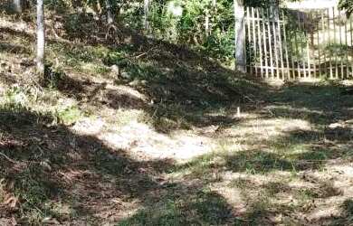 Imagem: TERRENO PARA CHACARA 3.000m2 10 minutos da Régis Bittencourt