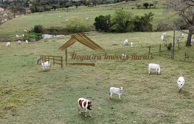 Imagem: A fazenda possui 72.600m² de Área e está localizado em Cesário