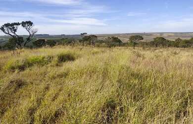 Imagem 14: Fazenda à venda, 969200 m² por R$ 6.000.000 - Serra Do Salitre - Serra...