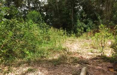 Imagem 4: Terreno em Paraju - Domingos Martins, 2.000 m²