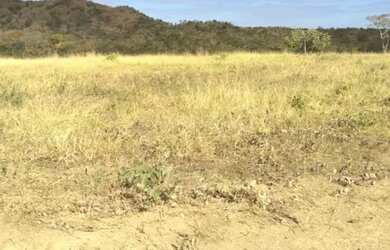 Imagem 3: Vende-se uma excelente fazenda de 530 hectares