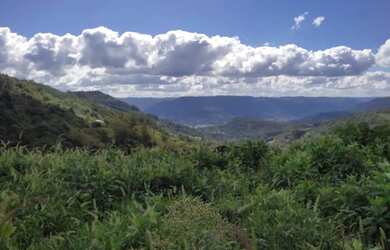 Imagem 7: Sítio / Chácara para Venda em Nova Petrópolis, Stille Eck