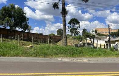 Imagem 3: ÁREA CAMPO LARGO DA ROSEIRA