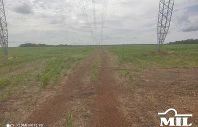Imagem 5: Fazenda Agrícola em Pedro Afonso-TO. gt 445 Alq. 2.154Há
