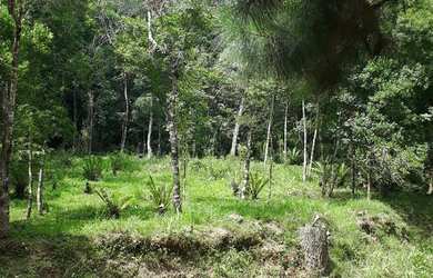 Imagem: A chácara possui 500m² de Área e está localizado em Igrejinha