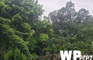 Imagem 11: APARTAMENTO RESIDENCIAL em SAO PAULO - SP, JARDIM EUROPA