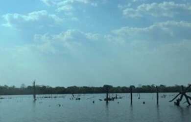 Imagem 11: Fazenda 2.350 ALQ, Paranã - TO