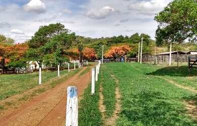 Imagem: A chácara e está localizado em Goianápolis, GO à venda por